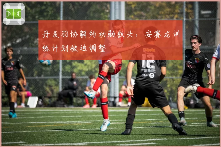 丹麦羽协解约功勋教头，安赛龙训练计划被迫调整