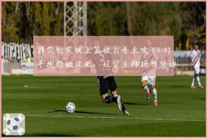 郭艾伦突破上篮被打手未吹 vs 对手抱怨被技犯，辽宁主帅杨鸣场边苦笑