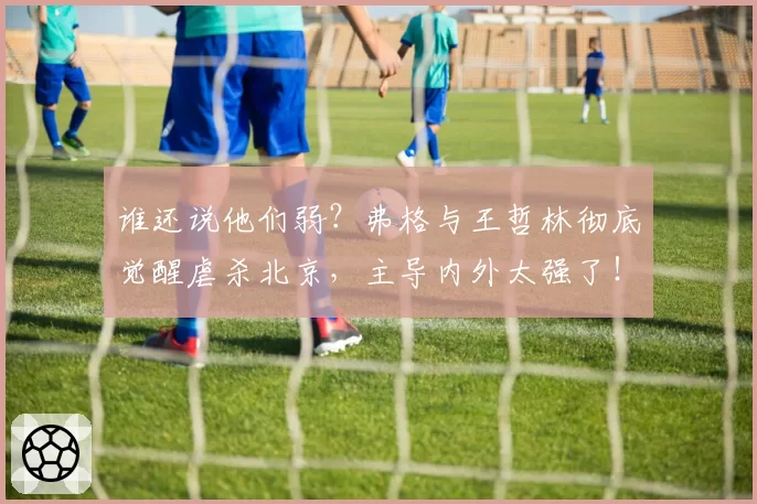 谁还说他们弱?弗格与王哲林彻底觉醒虐杀北京,主导内外太强了!