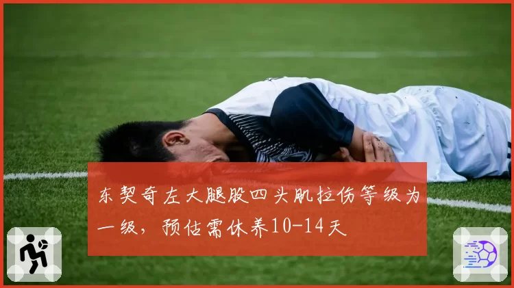 东契奇左大腿股四头肌拉伤等级为一级,预估需休养10-14天